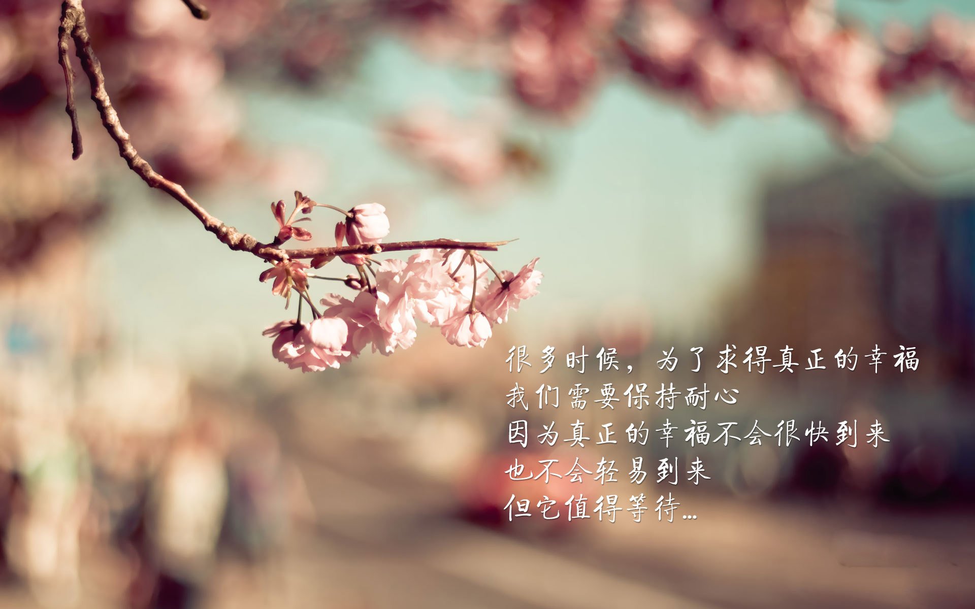 “中超联赛引入先进的比赛监控系统，保障比赛安全”，中超联赛官方数据统计