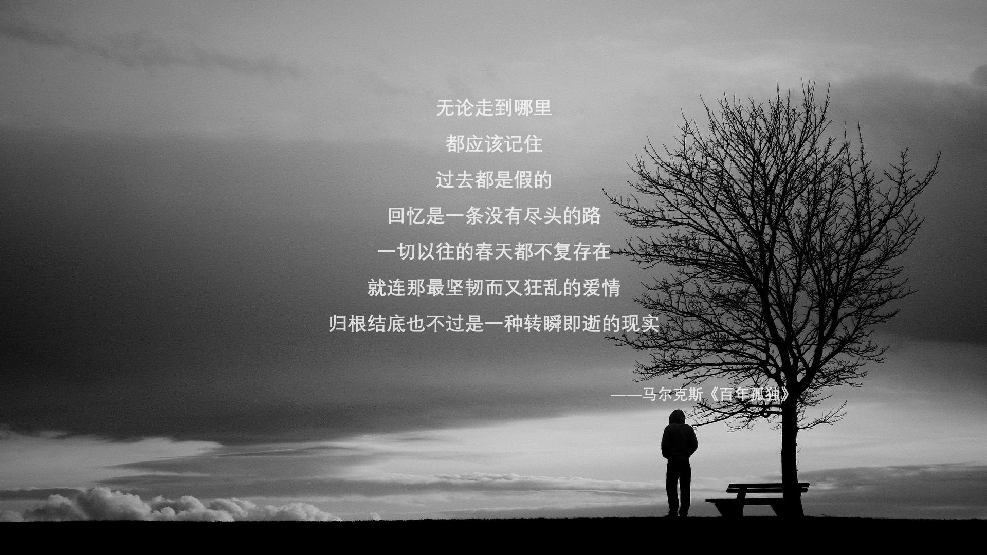 水上摩托比赛，速度与激情的极致体验，水上摩托表演